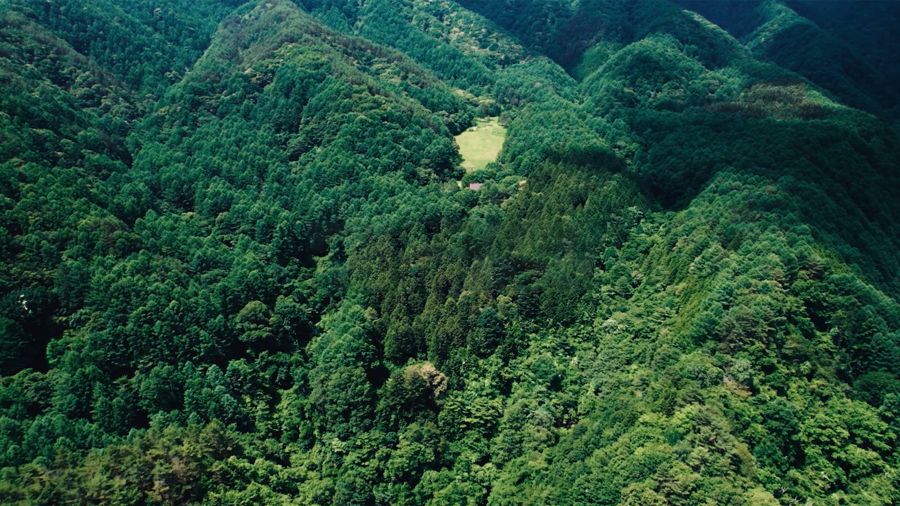 akqa31-ecoflow_01_video_thumb.jpg